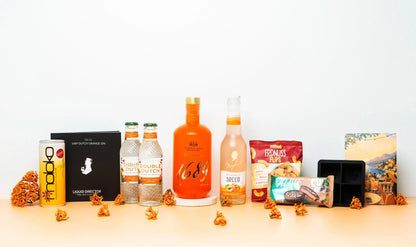 Gin Geschenk-Box mit Gin, Tonic Water & Snacks